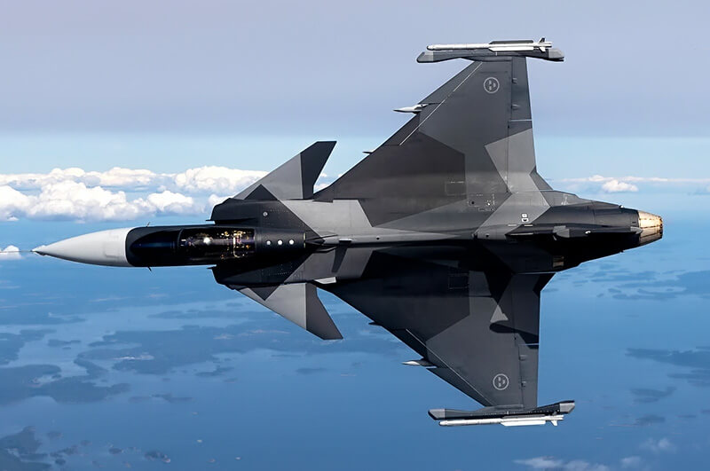 gripen delta wing